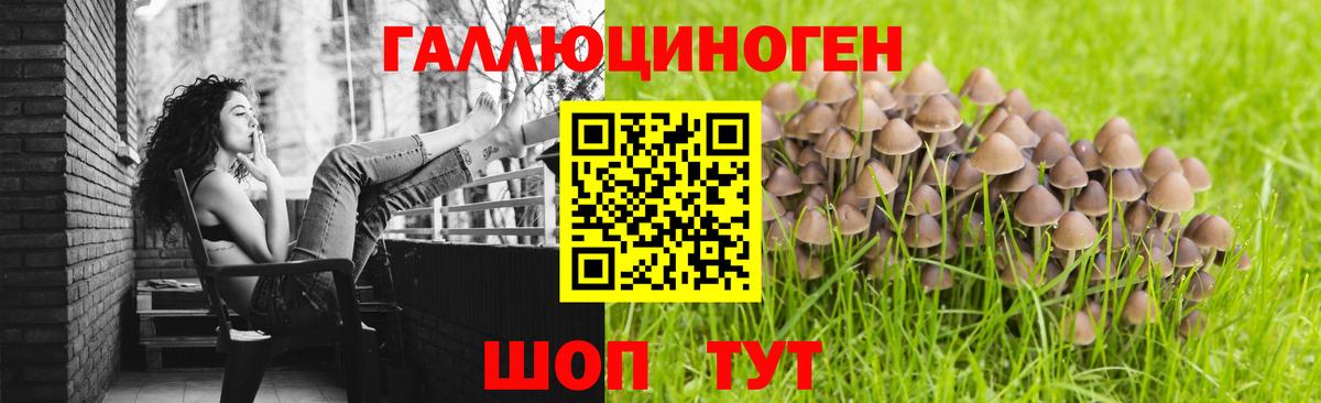 Псилоцибиновые грибы мицелий  Вход с VPN  Галлюциногенные грибы Psilocybe  Вологда 